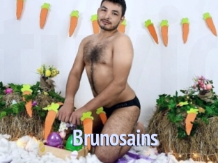 Brunosains