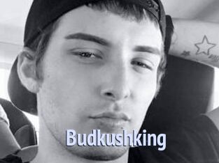 Budkushking