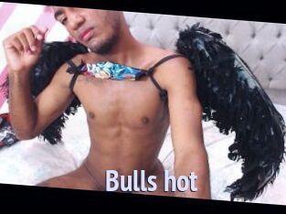 Bulls_hot