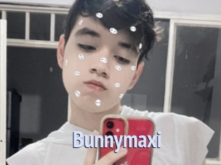 Bunnymaxi