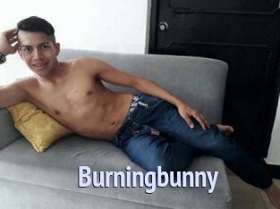 Burningbunny