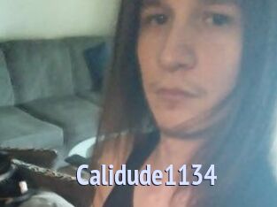 Calidude1134