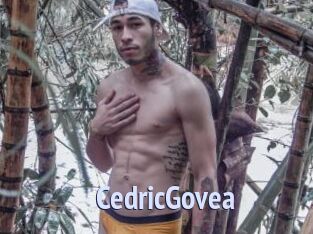 CedricGovea
