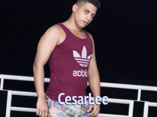 CesarLee