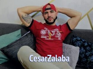 CesarZalaba
