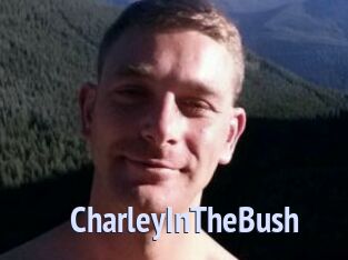 CharleyInTheBush