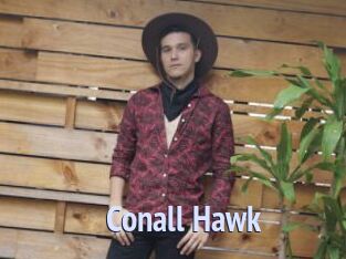 Conall_Hawk