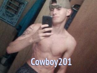 Cowboy201