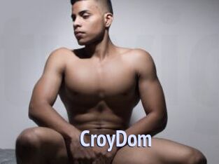 CroyDom Tube video gay