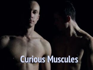Curious_Muscules