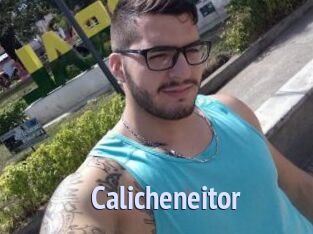 Calicheneitor