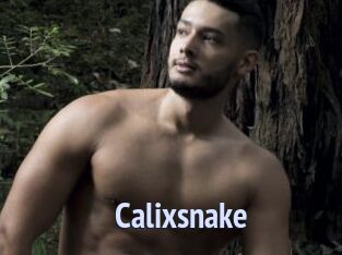 Calixsnake