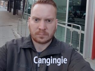Cangingie