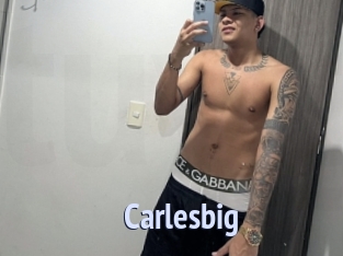 carlesbig Tube video gay