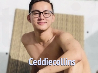 ceddiecollins Tube video gay