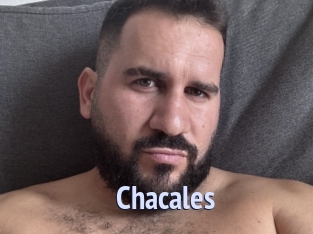 Chacales