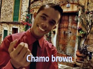 Chamo_brown