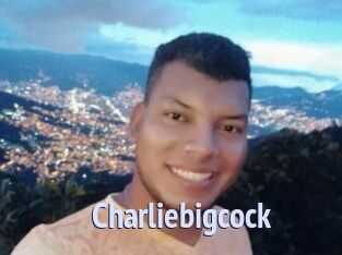 charliebigcock Tube video gay