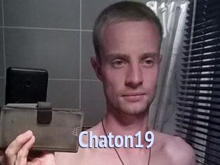 Chaton19