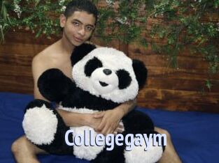 Collegegaym