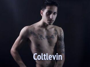Coltlevin