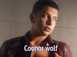 Coonor_wolf