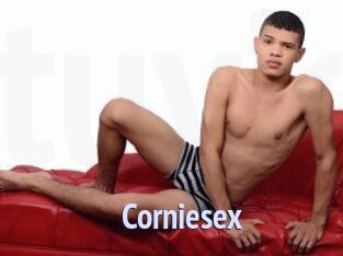 corniesex Tube video gay