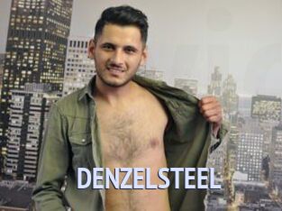 DENZELSTEEL