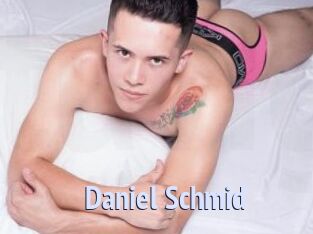 Daniel_Schmid