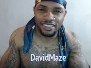David_Maze
