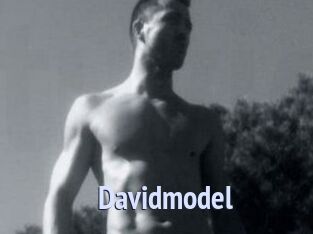 Davidmodel