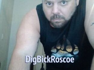 DigBickRoscoe