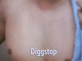 Diggstop