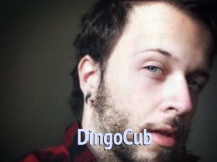 DingoCub
