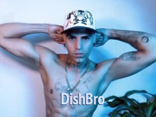 DishBro