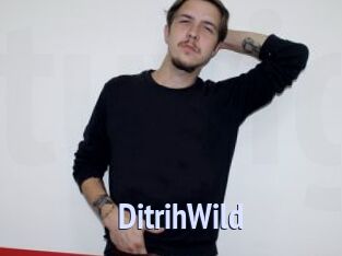 DitrihWild
