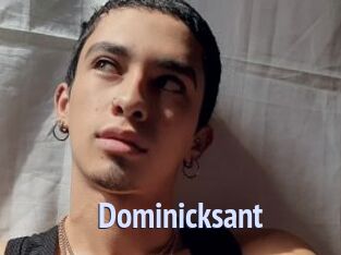 Dominicksant