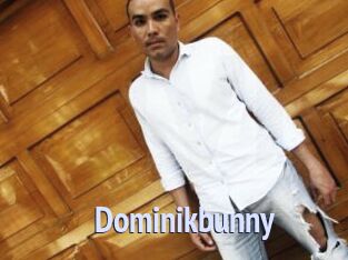 Dominikbunny