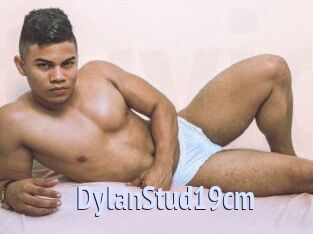 DylanStud19cm