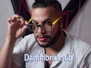 Daminbricksub