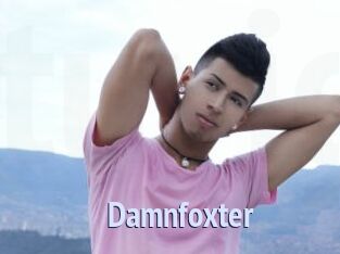 damnfoxter Tube video gay