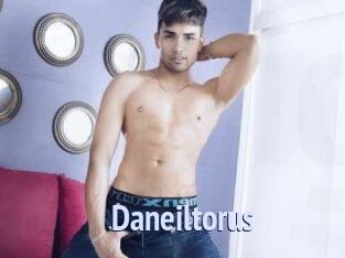 Daneil_torus
