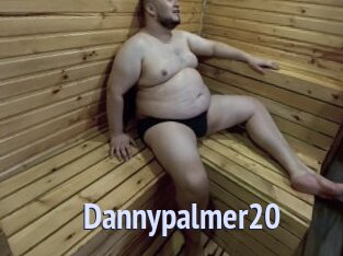 Dannypalmer20