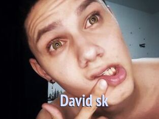 David_sk