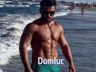 Domluc