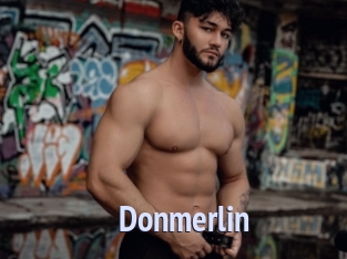 Donmerlin