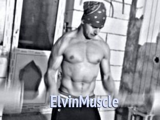 ElvinMuscle Tube video gay