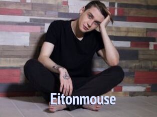 Eitonmouse
