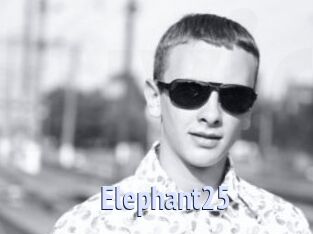 Elephant25