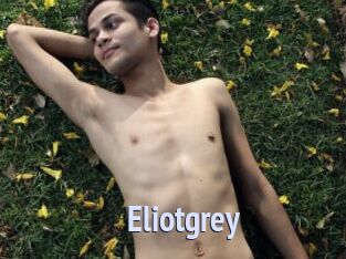 Eliotgrey